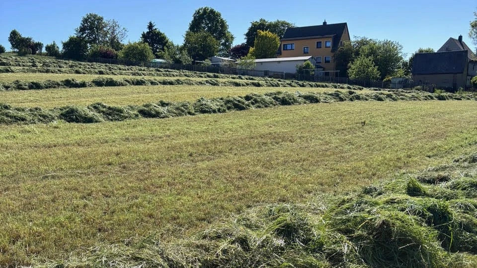 In Sachsen: Elf Rehkitze bei Mäharbeiten zerhäckselt
