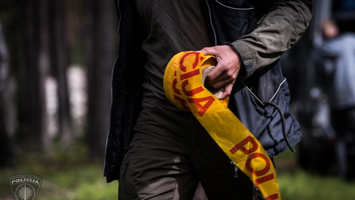В Польше во время строительных работ во дворе обнаружены останки около 30 человеческих эмбрионов