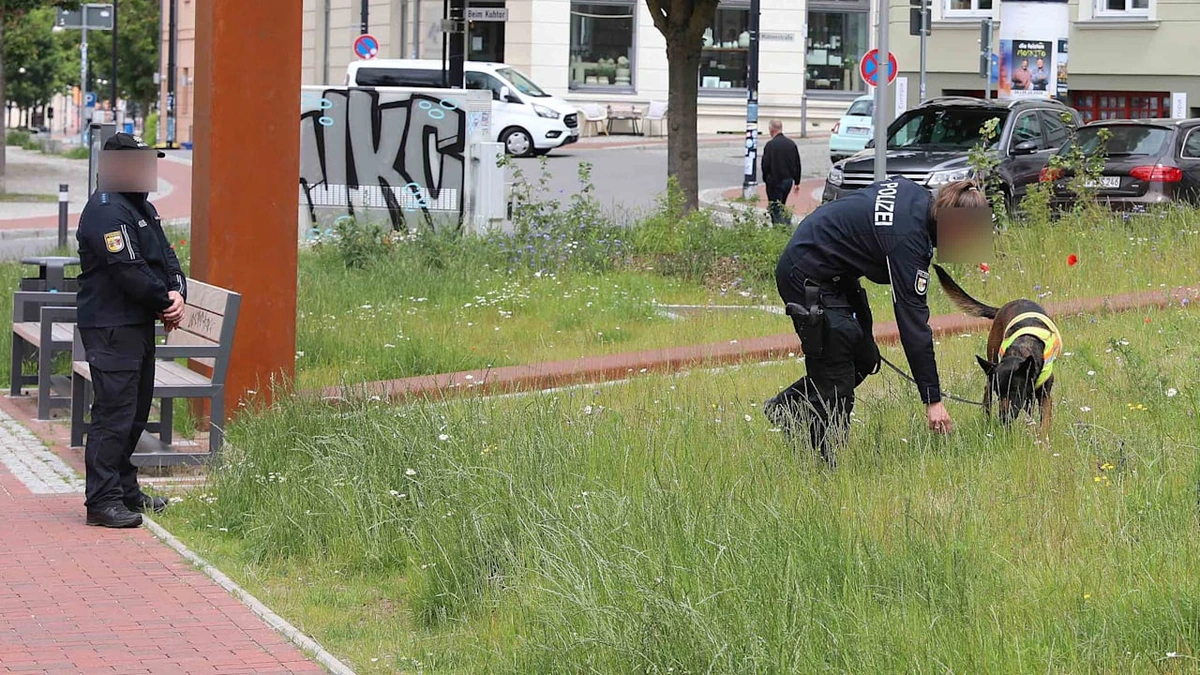 Polizei ermittelt in Rostock: Mutmaßlicher Angriff auf AfD-Politiker (51)
