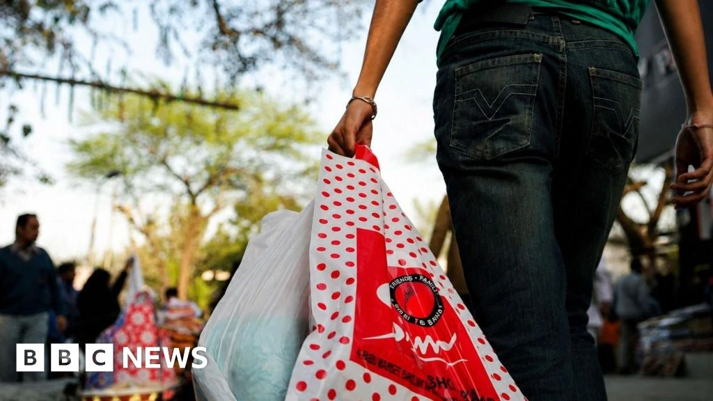 Convenience or entitlement? Indian start-up offers people to carry shopping bags