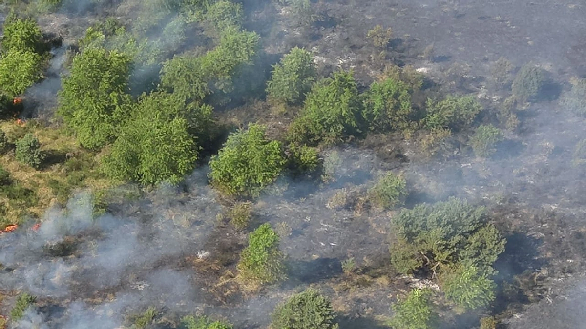 Waldbrand im Müritz-Nationalpark: Munition explodiert auf Schießplatz