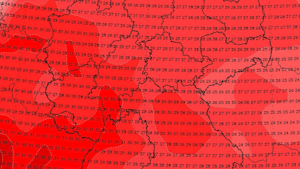 Wetterdienst gibt Hitzewarnung für Deutschland raus: Gilt für fünf Bundesländer