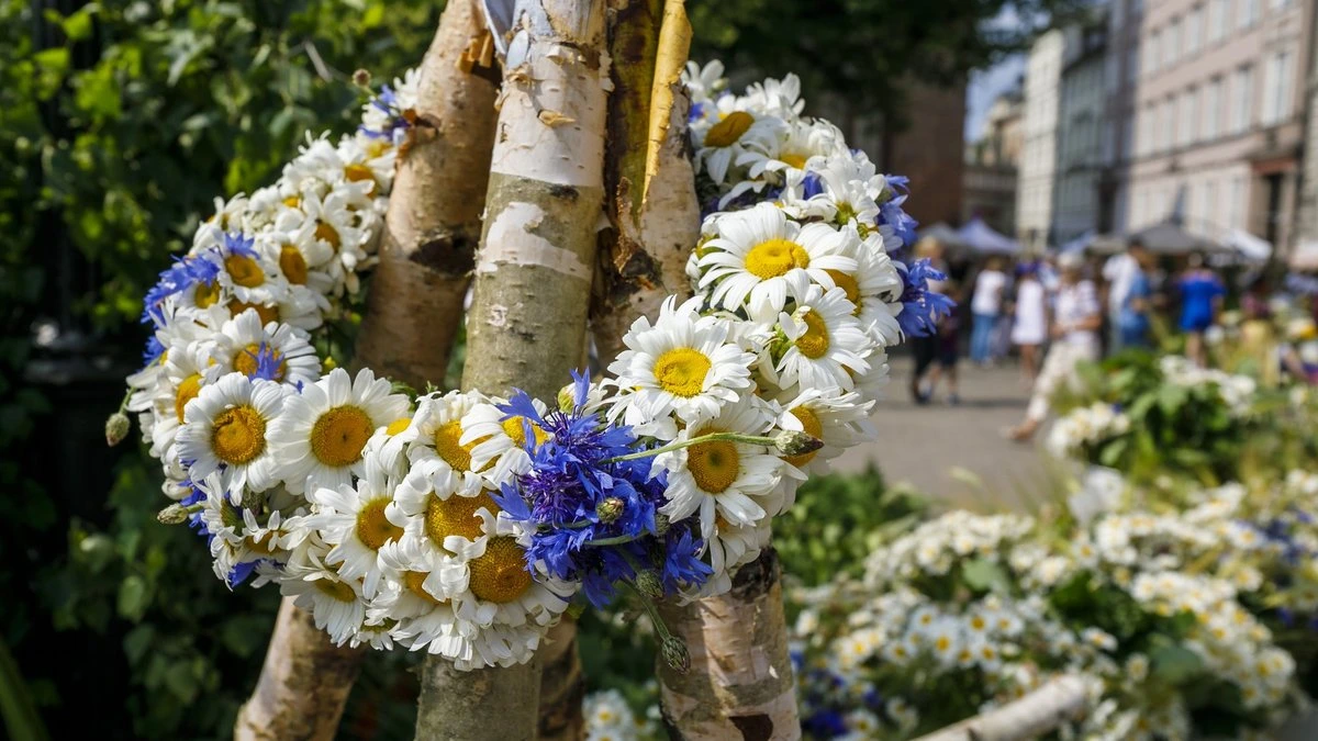 Пить воду, не есть незнакомые ягоды, использовать презервативы. SPKC напоминает, как провести Лиго безопасно