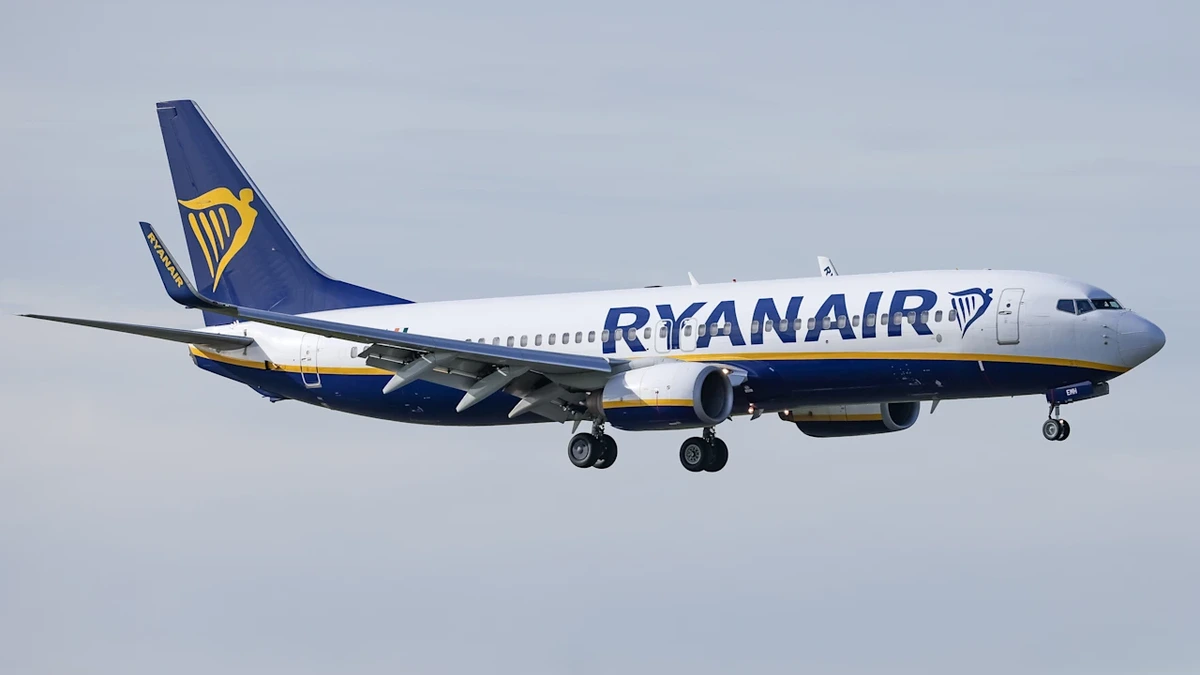 Ryanair-Flieger wegen Mückenschwarm evakuiert: 3 Stunden Verspätung