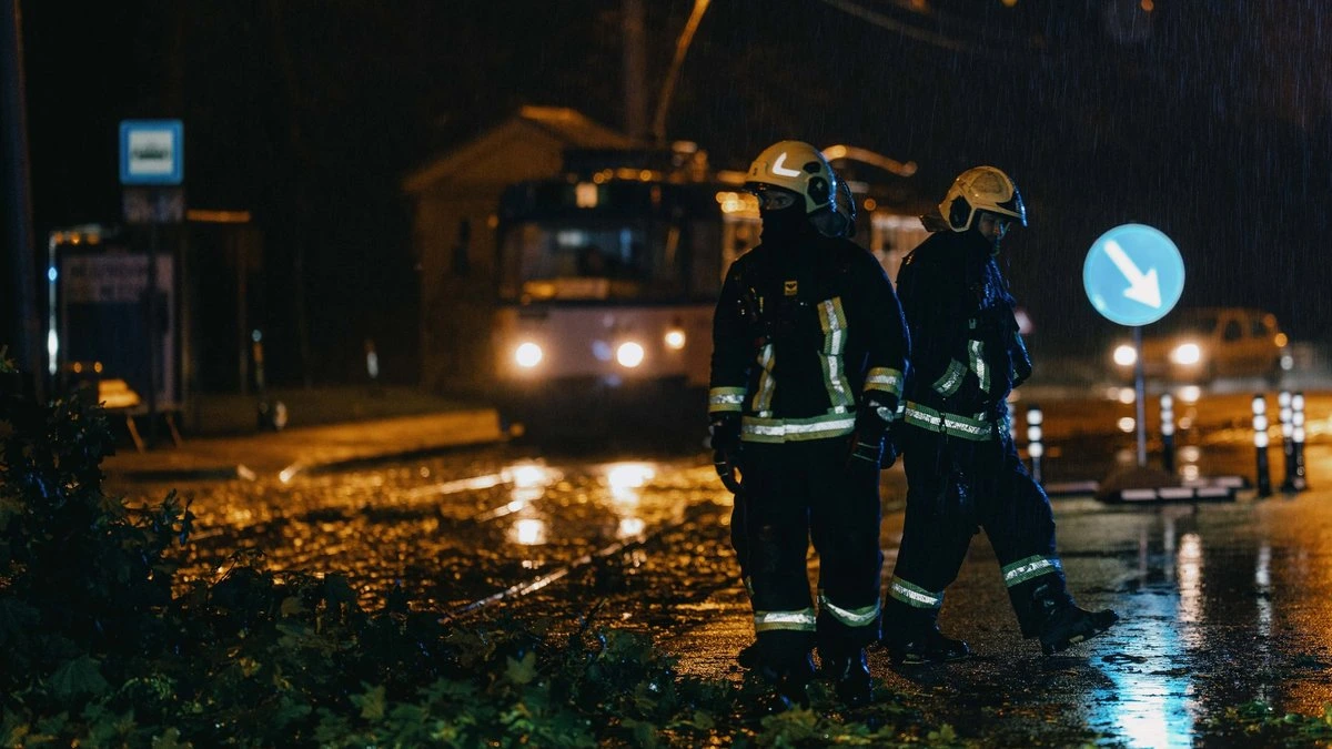 В Риге можно будет сдать поваленные деревья и ветки; вице-мэр призывает по возможности работать в понедельник удаленно