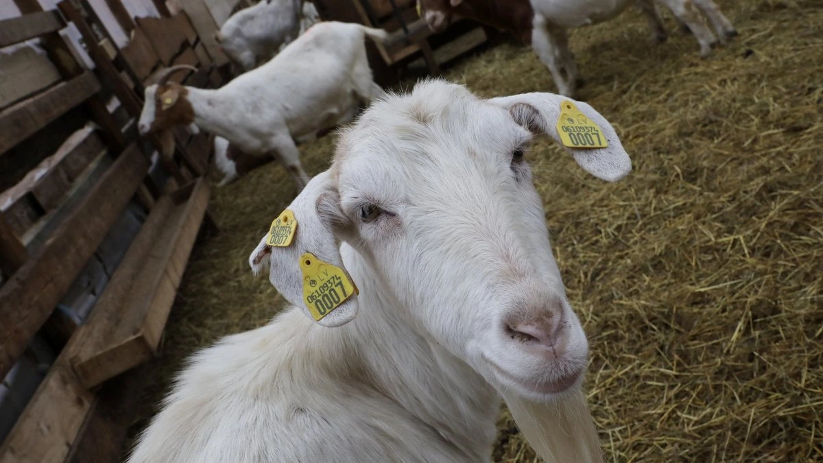 Государство возместит фермерам до 90% ущерба от военных инцидентов