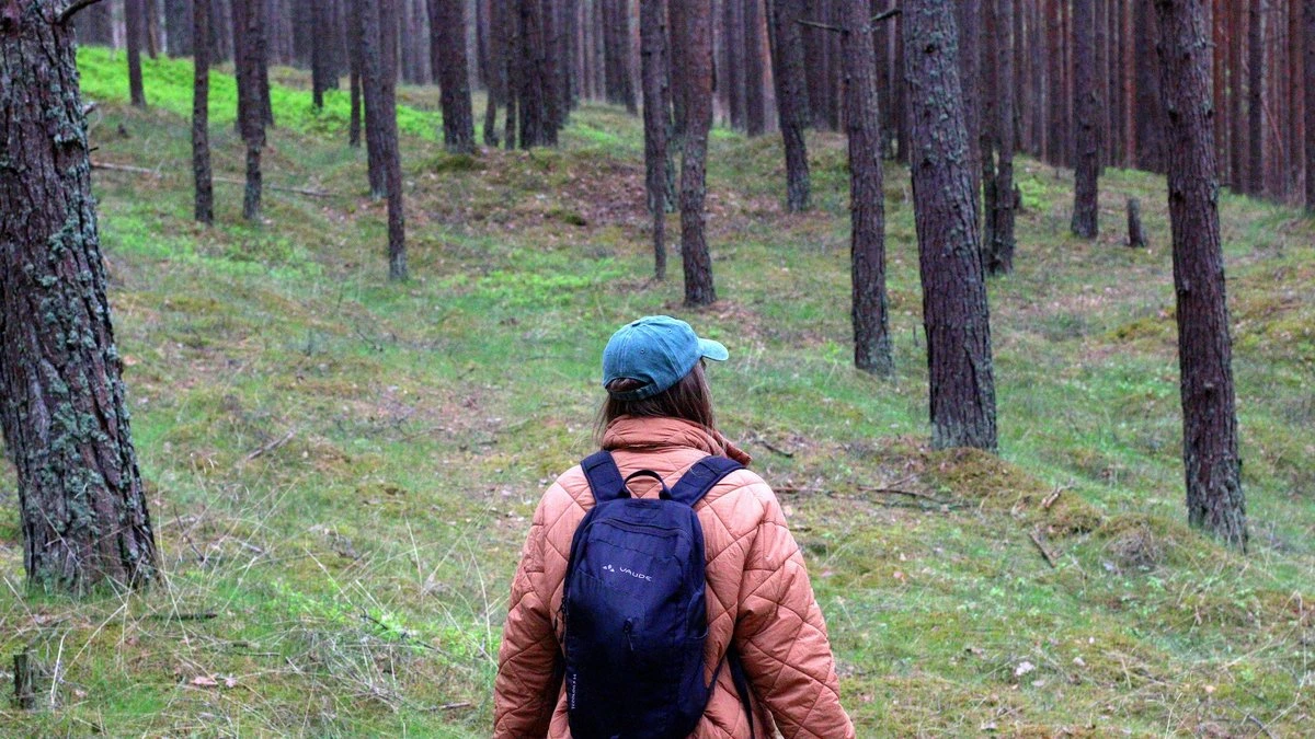 Начался сезон сбора грибов; спасатели искали в лесу уже 28 человек