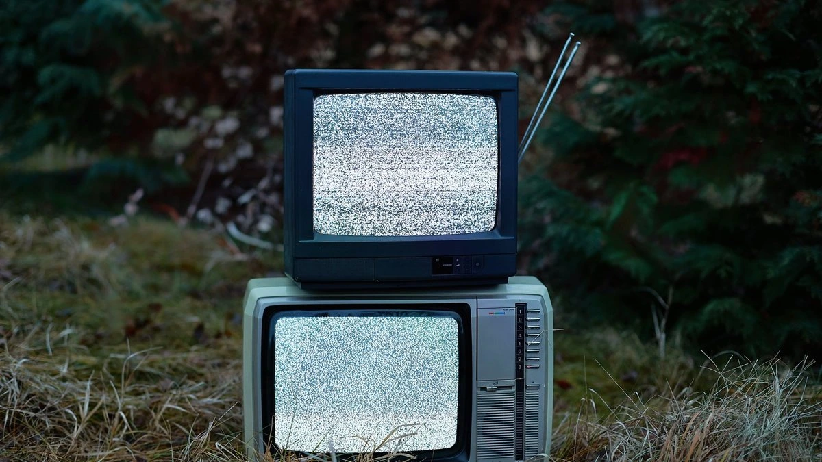 Нацобъединение настаивает на озвучке иностранных фильмов на госязык; "Объединенный список" оценку законопроекту не дает