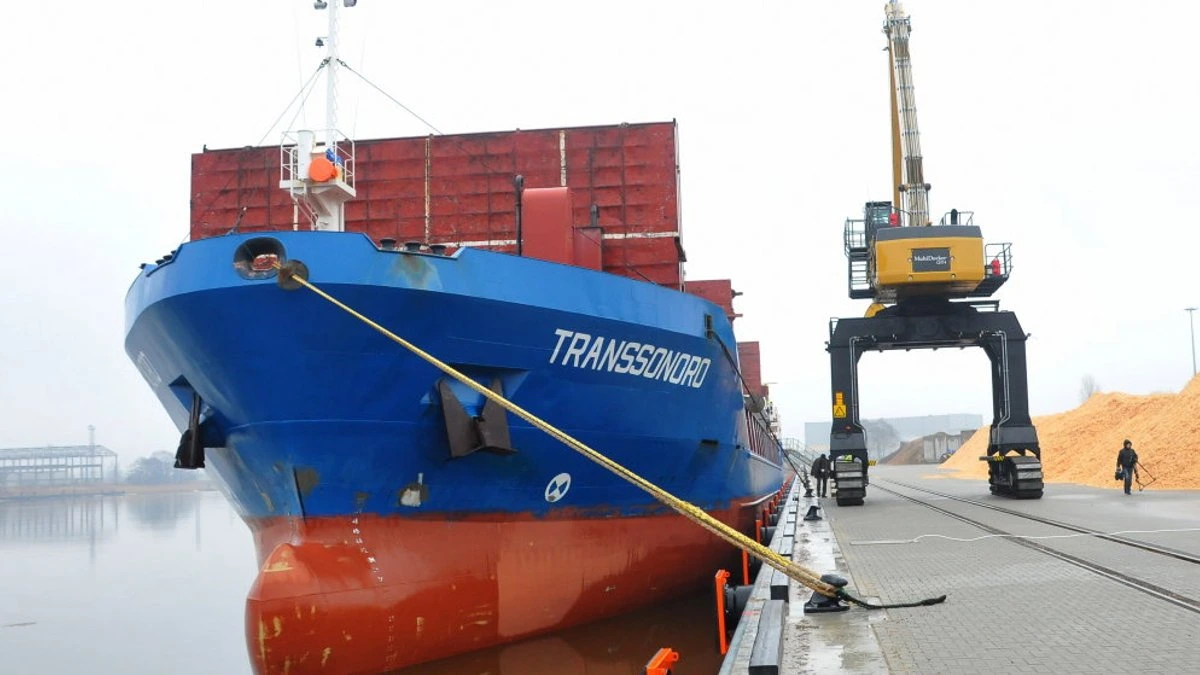 Трагическое ЧП в порту: водитель сбил фронтальным погрузчиком женщину