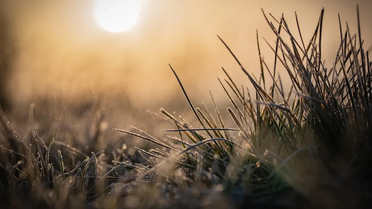 Zick-Zack-Wetter: Wann uns jetzt Frost und Regen drohen