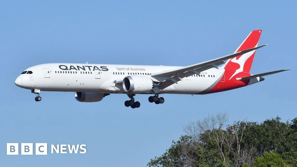 Qantas flight grounded after bedbug outbreak