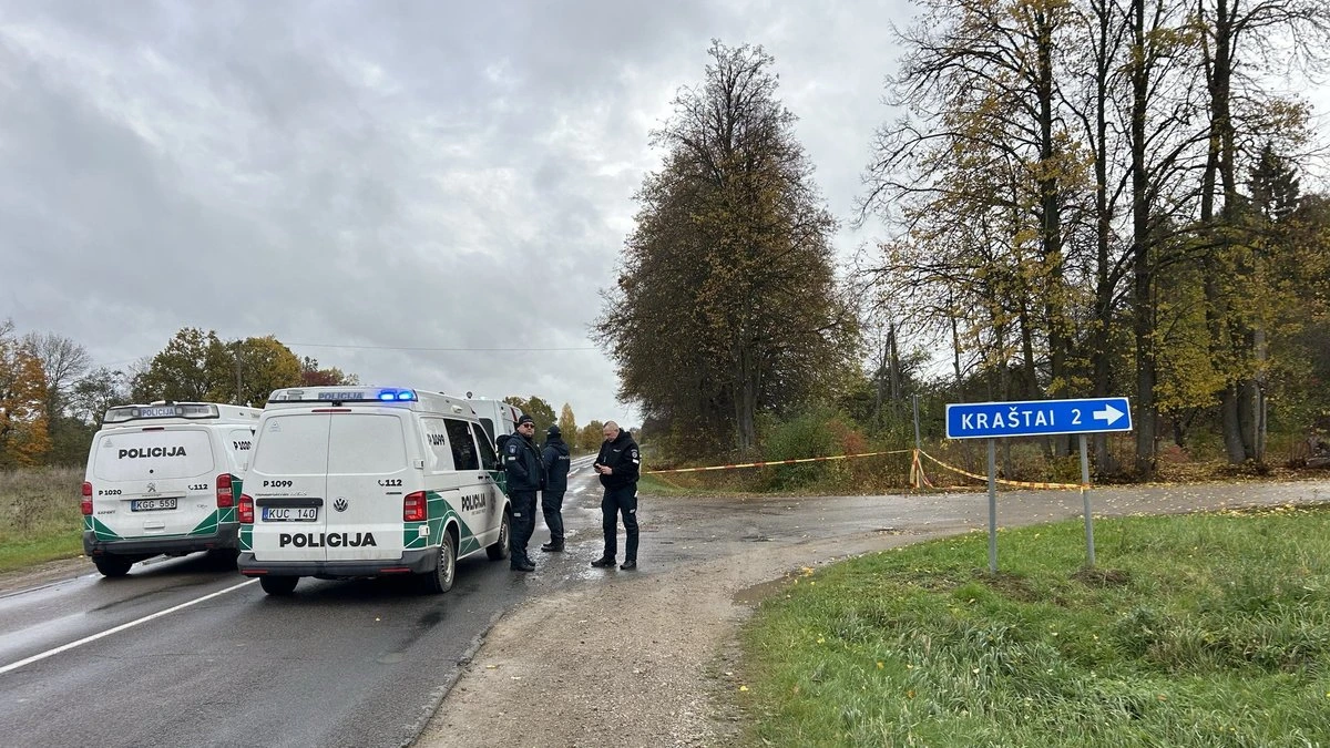 Синкявичюс: взорвавшийся в Литве дрон был украинским и залетел в страну со стороны Польши